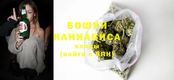 spice Каменка