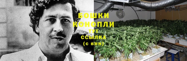 тгк Кинешма
